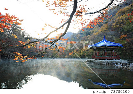 紅葉 秋 池 72780109