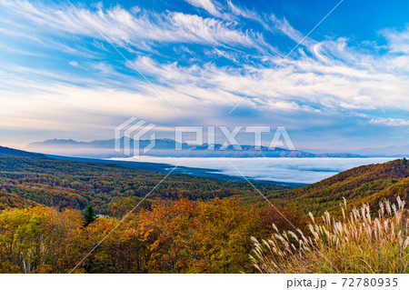 （長野県）蓼科ビーナスライン　女の神展望台から望む南アルプス 72780935