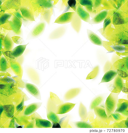 背景素材 木の葉 板のイラスト素材