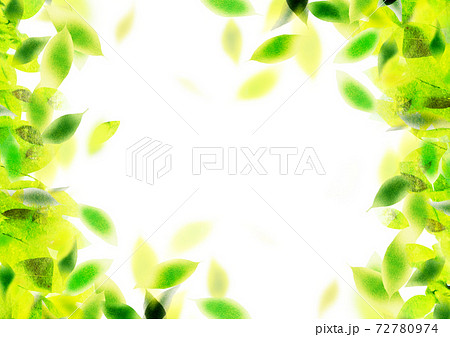 背景素材 木の葉 板のイラスト素材