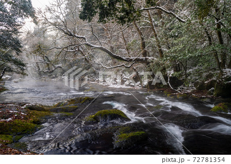 冬の菊池渓谷の雪と氷の風景 冬の菊池渓谷の雪と氷の風景 72781354