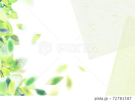 葉っぱ 和紙 テクスチャー 背景素材 のイラスト素材