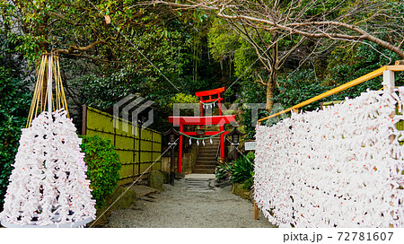 正月の初詣で賑わう武州柿生琴平神社 みくじ掛に結ばれた「みくじ箋(みくじ紙)」 正月の初詣で賑わう武州柿生琴平神社 みくじ掛に結ばれた「みくじ箋(みくじ紙)」 72781607