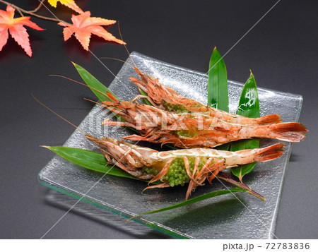 日本海の特産物 ガサエビ 日本海の特産物 ガサエビ 72783836