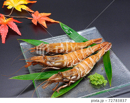 日本海の特産物 ガサエビ 72783837