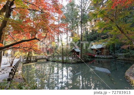 【静岡県】　小國神社 72783913