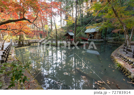 【静岡県】　小國神社 72783914