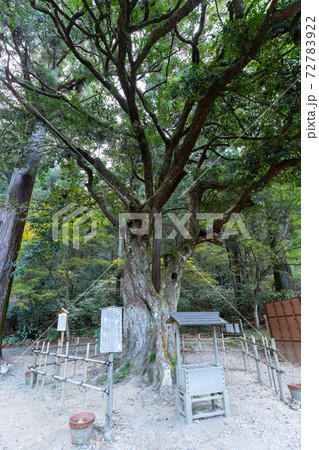 【静岡県】　小國神社 72783922