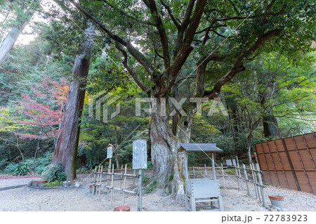 【静岡県】 小國神社 【静岡県】 小國神社 72783923
