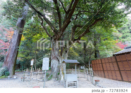 【静岡県】　小國神社 72783924