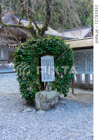 【静岡県】 小國神社 【静岡県】 小國神社 72783932