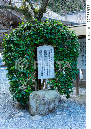 【静岡県】 小國神社 【静岡県】 小國神社 72783933