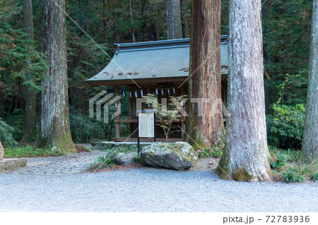 【静岡県】 小國神社 【静岡県】 小國神社 72783936