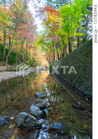 【静岡県】　小國神社 72783943