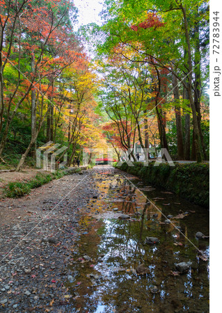 【静岡県】　小國神社 72783944