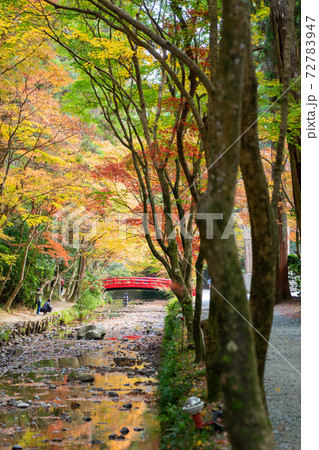 【静岡県】 小國神社 【静岡県】 小國神社 72783947