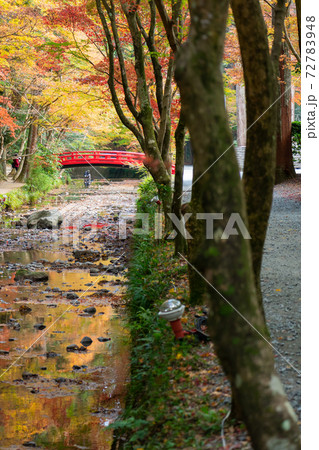 【静岡県】 小國神社 【静岡県】 小國神社 72783948