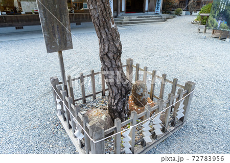 【静岡県】　小國神社 72783956