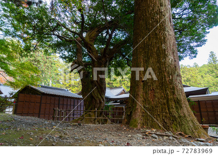 【静岡県】 小國神社 【静岡県】 小國神社 72783969