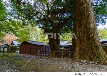 【静岡県】　小國神社 72783970