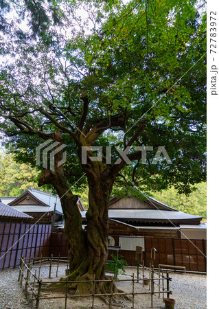 【静岡県】 小國神社 【静岡県】 小國神社 72783972