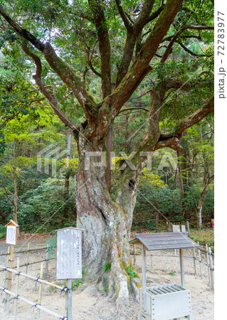 【静岡県】　小國神社 72783977
