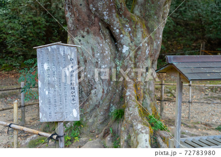 【静岡県】 小國神社 【静岡県】 小國神社 72783980