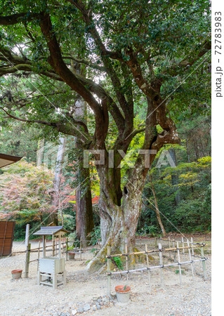 【静岡県】　小國神社 72783983