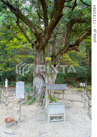【静岡県】　小國神社 72783984