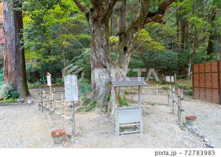 【静岡県】　小國神社 72783985