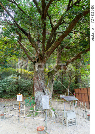 【静岡県】 小國神社 【静岡県】 小國神社 72783986