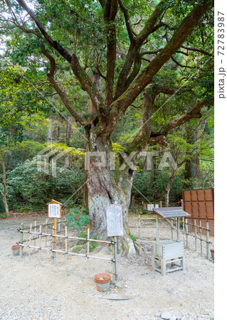 【静岡県】 小國神社 【静岡県】 小國神社 72783987