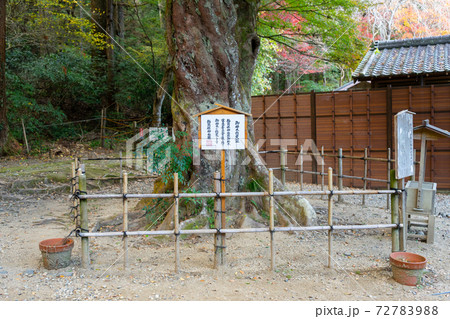 【静岡県】　小國神社 72783988