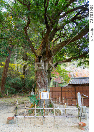 【静岡県】 小國神社 【静岡県】 小國神社 72783989