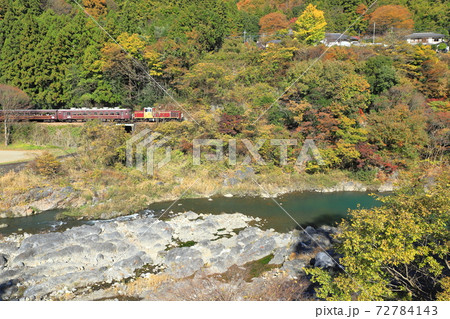 渡良瀬川と紅葉の中を行くトロッコわたらせ渓谷号 72784143