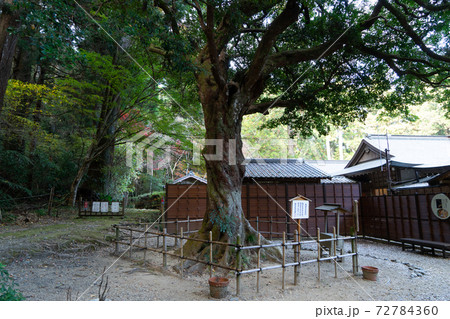 【静岡県】　小國神社 72784360