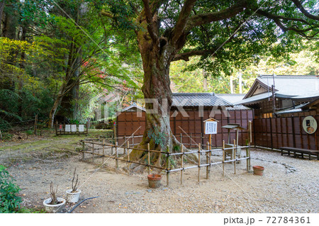 【静岡県】 小國神社 【静岡県】 小國神社 72784361