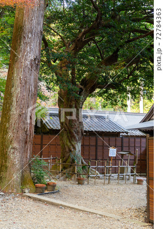 【静岡県】 小國神社 【静岡県】 小國神社 72784363