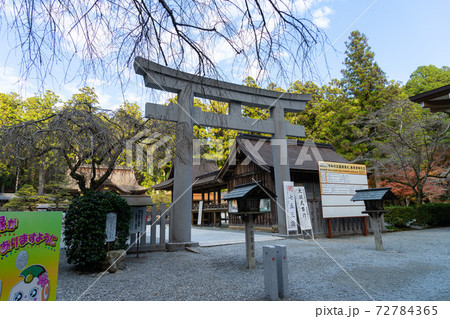 【静岡県】 小國神社 【静岡県】 小國神社 72784365