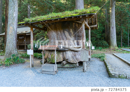 【静岡県】　小國神社 72784375