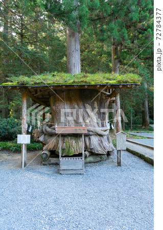 【静岡県】 小國神社 【静岡県】 小國神社 72784377
