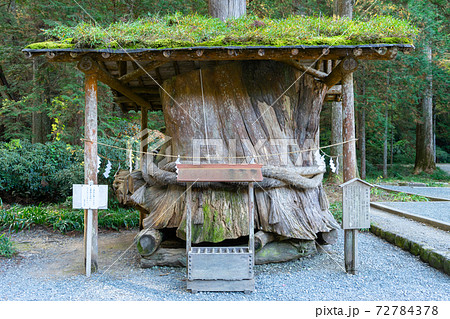 【静岡県】　小國神社 72784378