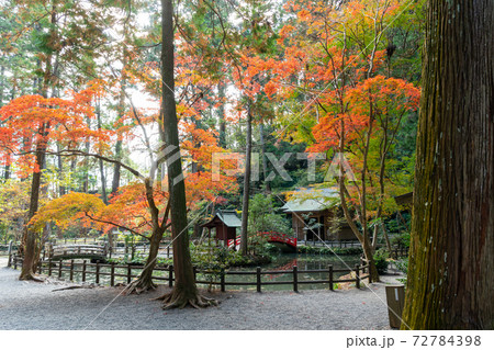 【静岡県】 小國神社 【静岡県】 小國神社 72784398