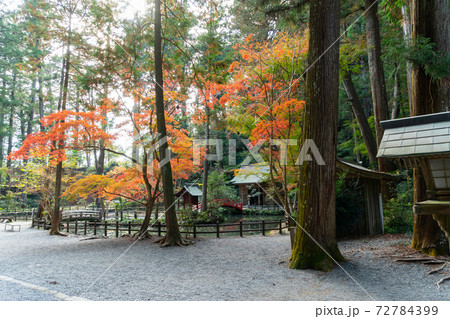 【静岡県】 小國神社 【静岡県】 小國神社 72784399