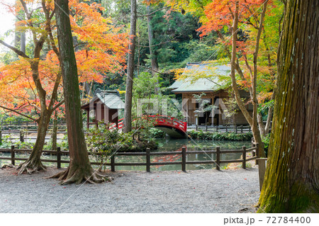 【静岡県】 小國神社 【静岡県】 小國神社 72784400