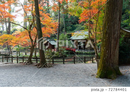 【静岡県】　小國神社 72784401