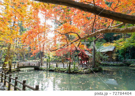 【静岡県】 小國神社 【静岡県】 小國神社 72784404
