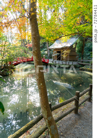 【静岡県】　小國神社 72784411