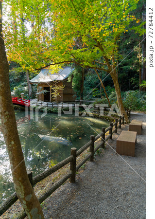 【静岡県】 小國神社 【静岡県】 小國神社 72784412