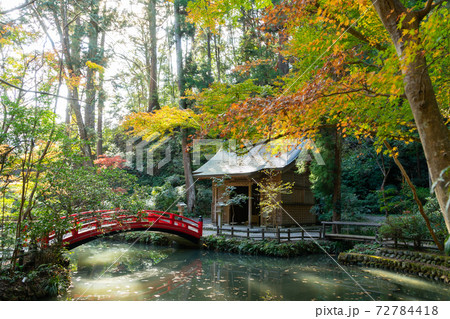 【静岡県】 小國神社 【静岡県】 小國神社 72784418